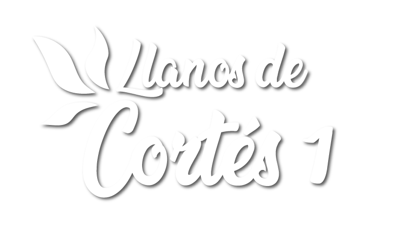 Terratica - Llanos de Cortés 1