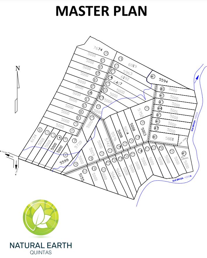 Natural Earth Master Plan