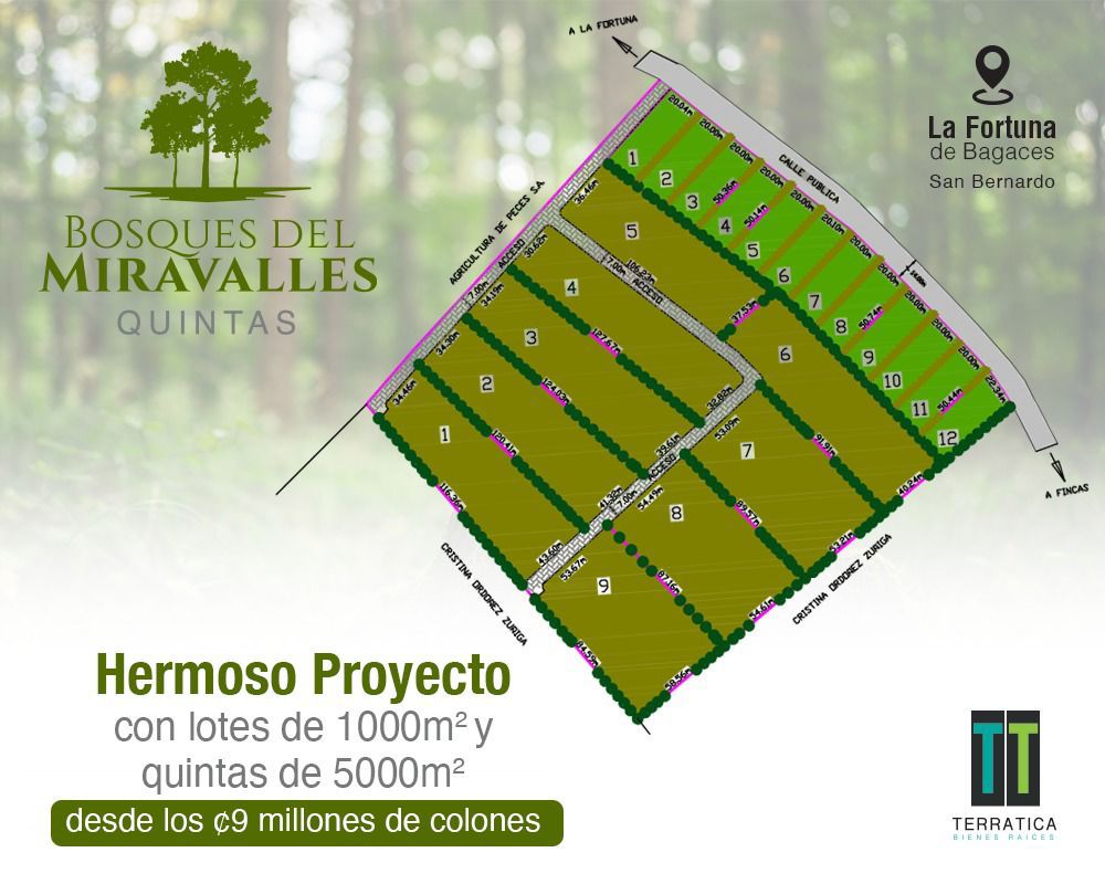 Master Plan, Bosques de Miravalles